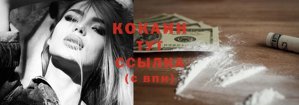 спайс Баксан