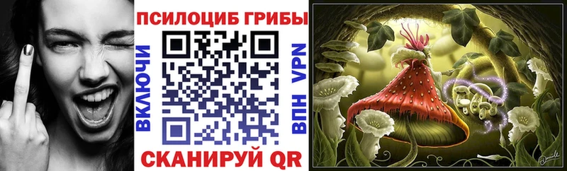 Галлюциногенные грибы мицелий  Усть-Джегута 